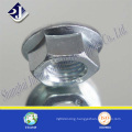 DIN Hex Flange Nut